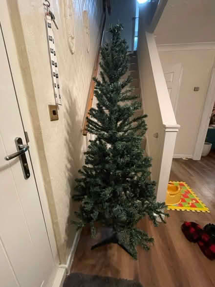 Photo of free Christmas tree (Haverhill CB9) #1