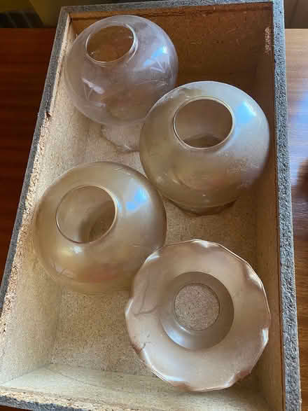 Photo of free Glass lampshades (Newport West NP20 4) #1