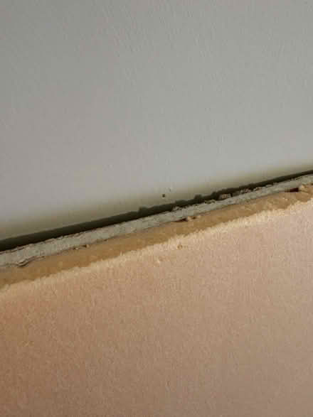 Photo of free Insulated plasterboard offcut (Wellesbourne, CV35) #3