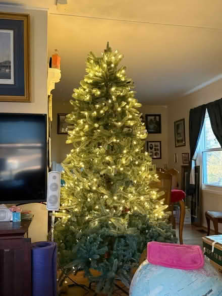 Photo of free Year old Christmas tree (Warrenton Walgreens) #1