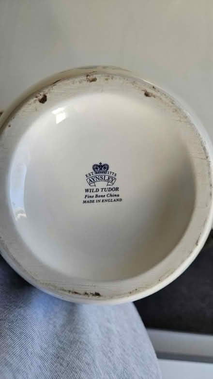 Photo of free Wild tudor vase (Brighton, BN2) #2