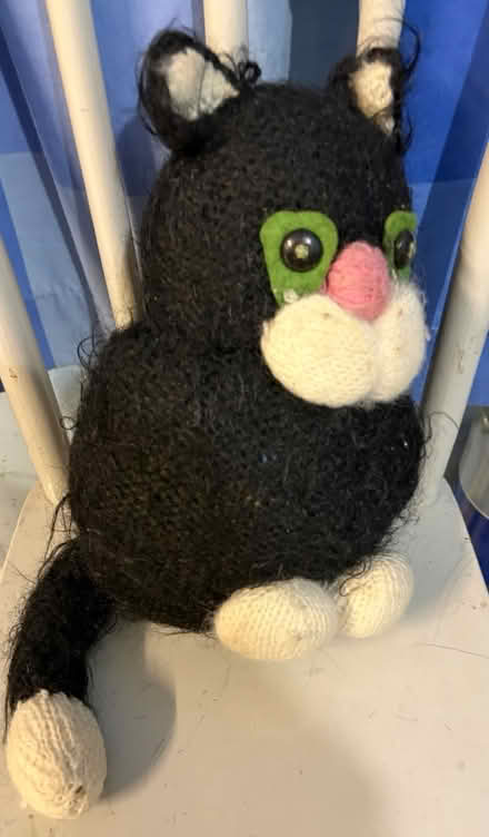 Photo of free Jess The Cat (Westbury Wilts BA13) #1