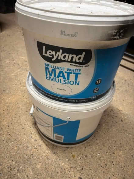 Photo of free White Matt emulsion paint (Catfield NR29 5BQ) #1