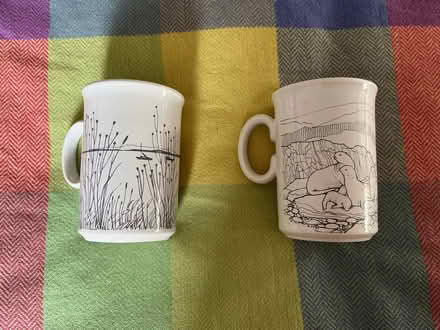 Photo of free Pair of mugs (Walkley S6) #1
