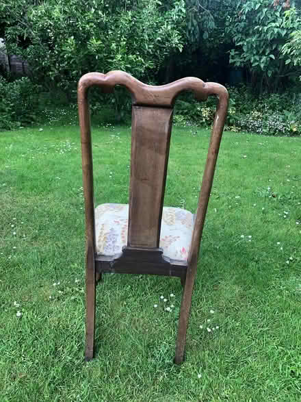 Photo of free Ducal extending table and 4 chairs (Abridge, Essex RM4) #4