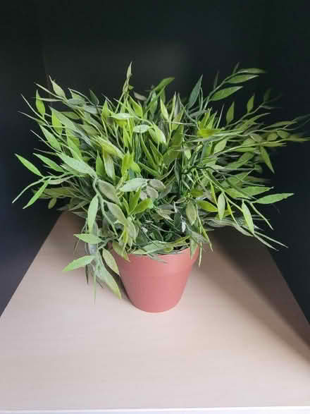 Photo of free Fake plant in pot (Ikea) (Shenley Fields B29) #3
