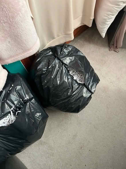 Photo of free Shredded paper (Rochford SS4) #1