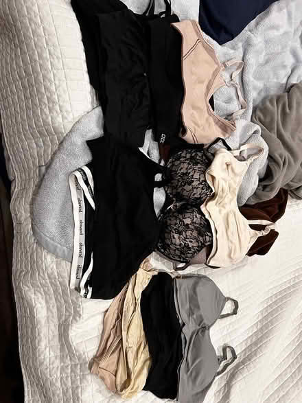Photo of free Nursing and other bras (Downtown Sunnyvale) #1