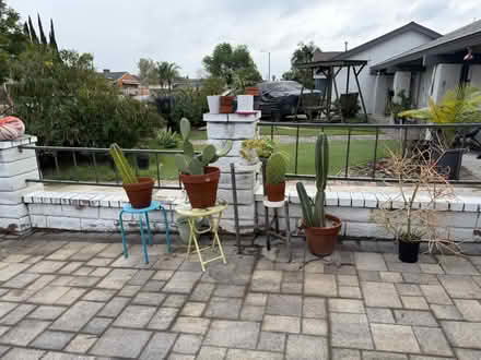 Photo of free Plants, pots and stands (Sun Valley / North Hollywood) #1