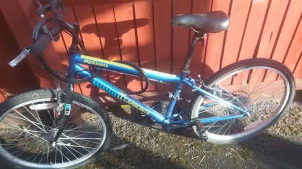 Photo of free Girls Bike (Woolstrop GL2) #1