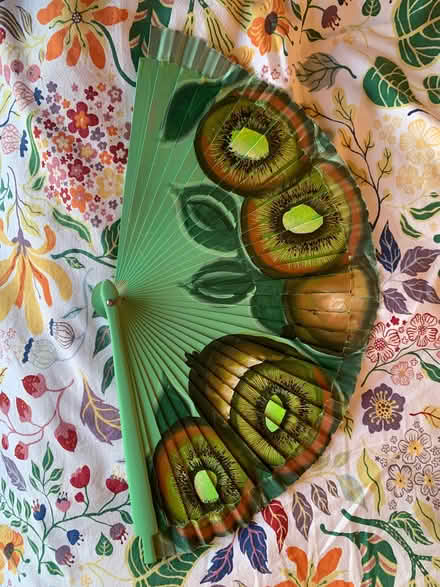 Photo of free Kiwi Hand Fan (Eastlands CV22) #1