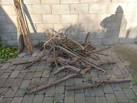 Photo of free tree cuttings - fire wood (Harmonstown) #1