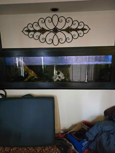 Photo of free 125 gal aquarium and accessories (Bellevue Farms) #1
