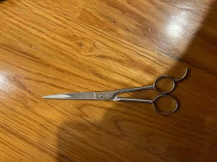 Photo of free Haircutting scissors (Porter Square) #1