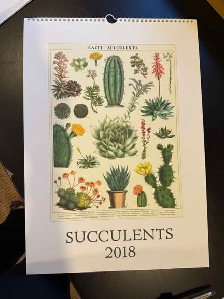 Photo of free succulent calendar (Alameda) (West side) #1