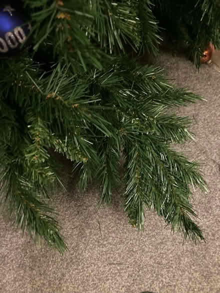 Photo of free 6ft Christmas tree (Howhlill Quarries HG2) #3