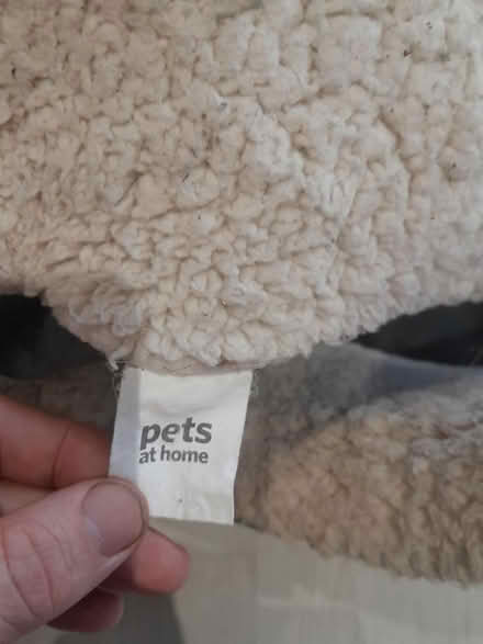 Photo of free Medium Dog bed (Whitefield M45) #4