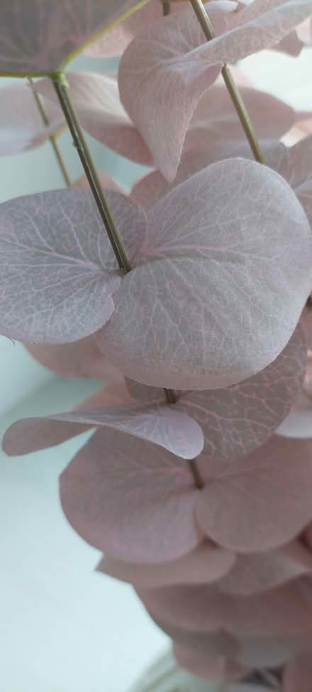 Photo of free artificial flower stems (Ballincollig) #3