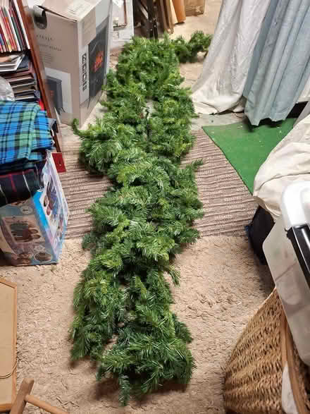 Photo of free Fern garlands (Lancaster - Newmarket Avenue) #1