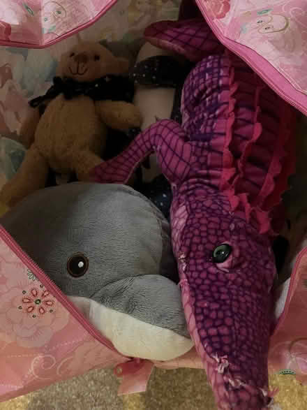 Photo of free Soft toys (Morningside EH10) #1