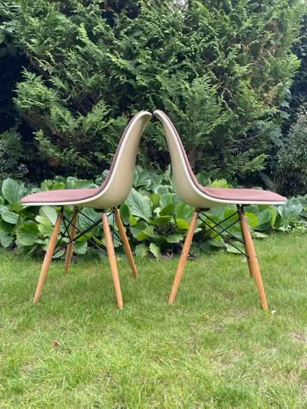 Photo of free Eames dining chairs x 2 (Banstead) #3