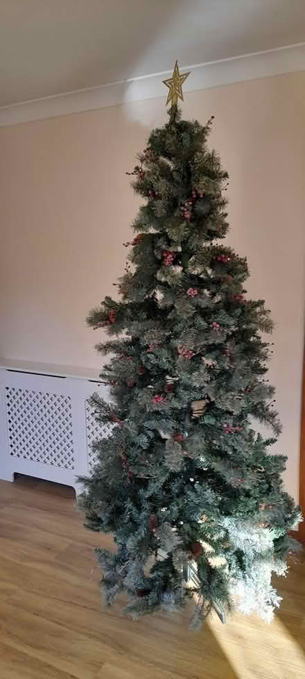 Photo of free xmas tree (Hinxworth) #1