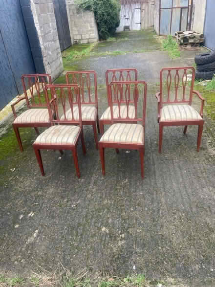 Photo of free Chairs x 6 (Perrystown Dublin 12) #4