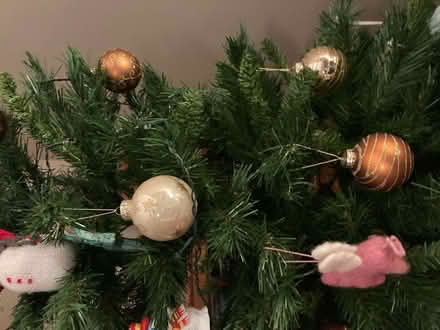 Photo of free 6ft Christmas tree (Howhlill Quarries HG2) #4