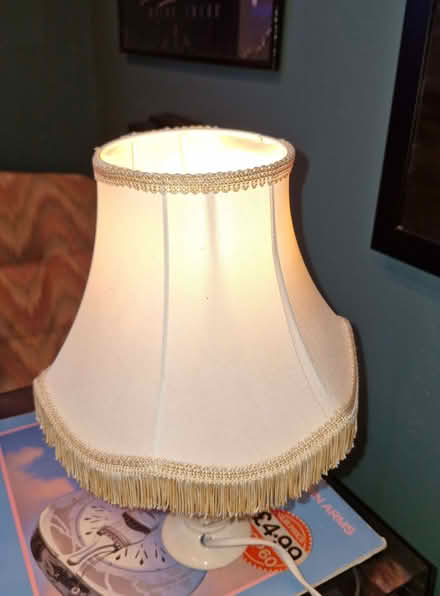 Photo of free Lamp (Great Baddow CM2) #1
