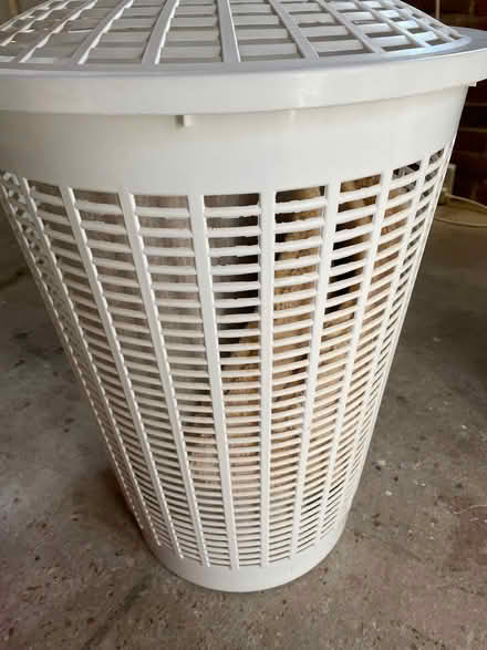 Photo of free White washing basket (Seaford BN25) #1