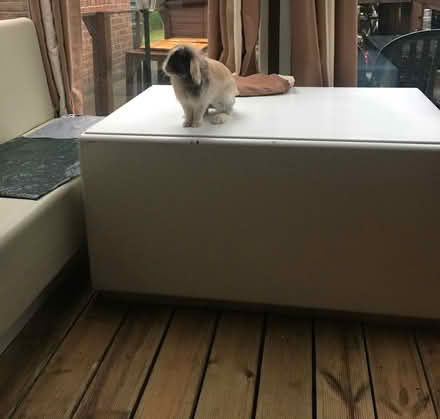 Photo of free seats and table (Coleridge Ward CB1) #2