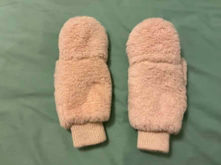 Photo of free Ladies’ mittens (Walkley S6) #2