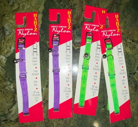 Photo of free Harts cat collars (4) (Fanwood) #1