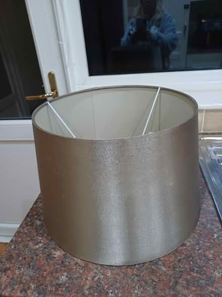 Photo of free Lamp shade (Marldon TQ3) #1
