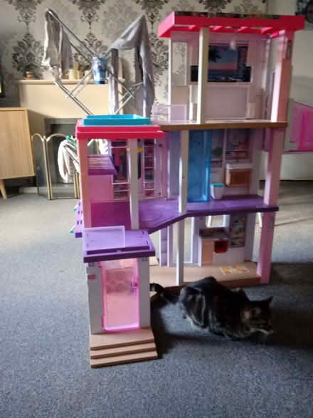 Photo of free Barbie dream house and Barbie car (Matson GL4) #1