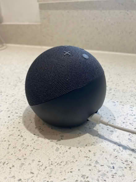 Photo of free Alexa (Cheshunt EN7) #1