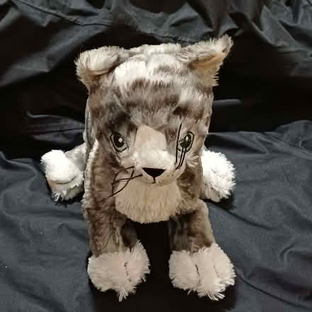 Photo of free Little fluffy cat (Sydenham SE26) #1