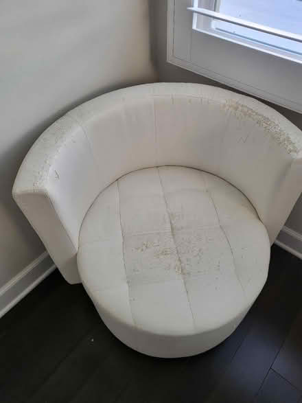 Photo of free Accent Chairs (2) (Irvine near Portola) #3