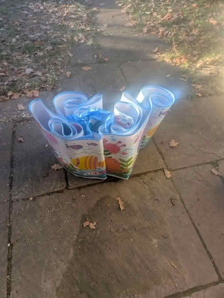 Photo of free Kids paddling pool swimming (Horsham Roffee) #1