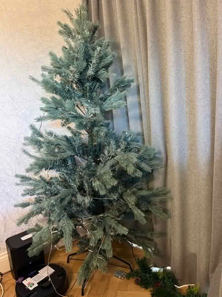 Photo of free Christmas tree (Nettlestead Green ME18) #1