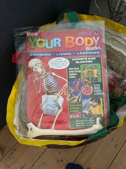 Photo of free How Your Body Works magazine series (SE2, Abbey Wood) #1