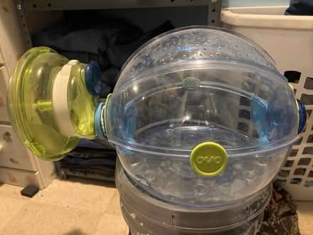 Photo of free Habit trail (141 Fairfield Dr) #2