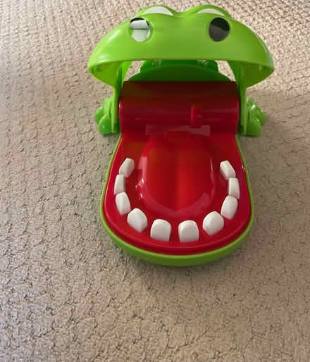 Photo of free Crocodile dentist (Crooks Barn TS20) #2