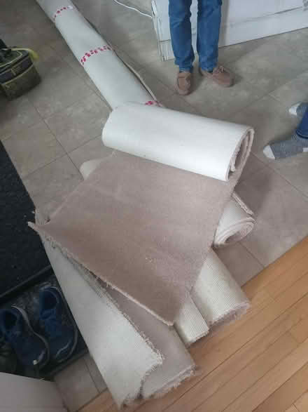 Photo of free Assorted carpet pieces (Central Fallingbrook) #2