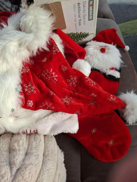 Photo of free Christmas Dec's (NE10 0 Felling) #4