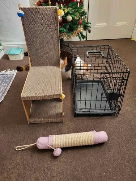 Photo of free Cat items (Leicester LE2) #1