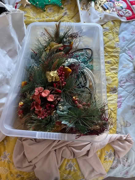 Photo of free Christmas decoration and led lights (Sale M33) #1