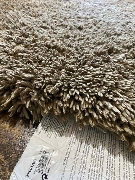 Photo of free Large shaggy rug (Iffley OX4) #2