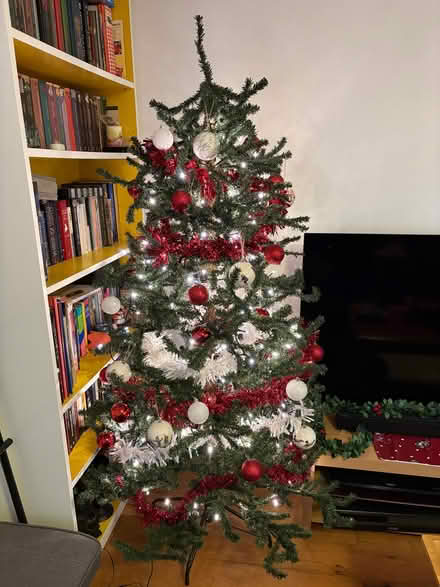 Photo of free Christmas tree (Saint George's CO2) #1