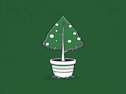 Photo of Potted/rooted Christmas tree (Harwell OX11) #1